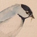 Watercolor Nature Original Painting Woodland Bird Chickadee by Laurie Rohner