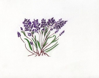 Popular items for lavender plant on Etsy