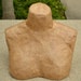 WO-MANNEQUIN BUST Jewelry Display Necklaces and Scarves