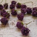 Artificial Flowers - 20 Purple Clover Blossoms - TINY Flowers