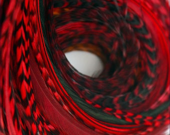 Red Hair Feathers 10 Bright Cherry Red Real Bird Feather Extensions Red Hair Accessories