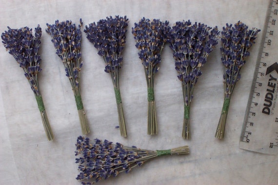 Mini dried lavender bunches 12cm, pack of 5