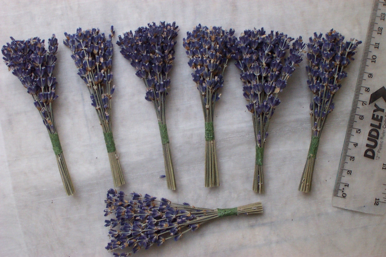Mini dried lavender bunches 12cm pack of 5 by on Etsy