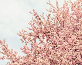 Pink Flower Photography, Pastel Nature Print, Pink Fine Art, Pink Wall ...