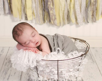 Vintage Style Wire Egg Basket (with removable rim pad)- Newborn Photography Prop- Lightweight