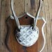 Deer Antlers Winter White Woodland Decor Horns Roe Deer Unique Taxidermy Wall Art