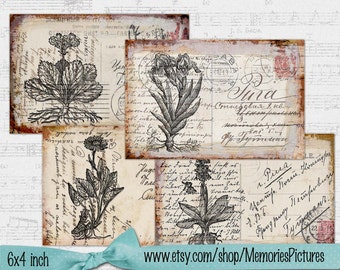 Vintage Botanical floral plants Old paper drawing set of