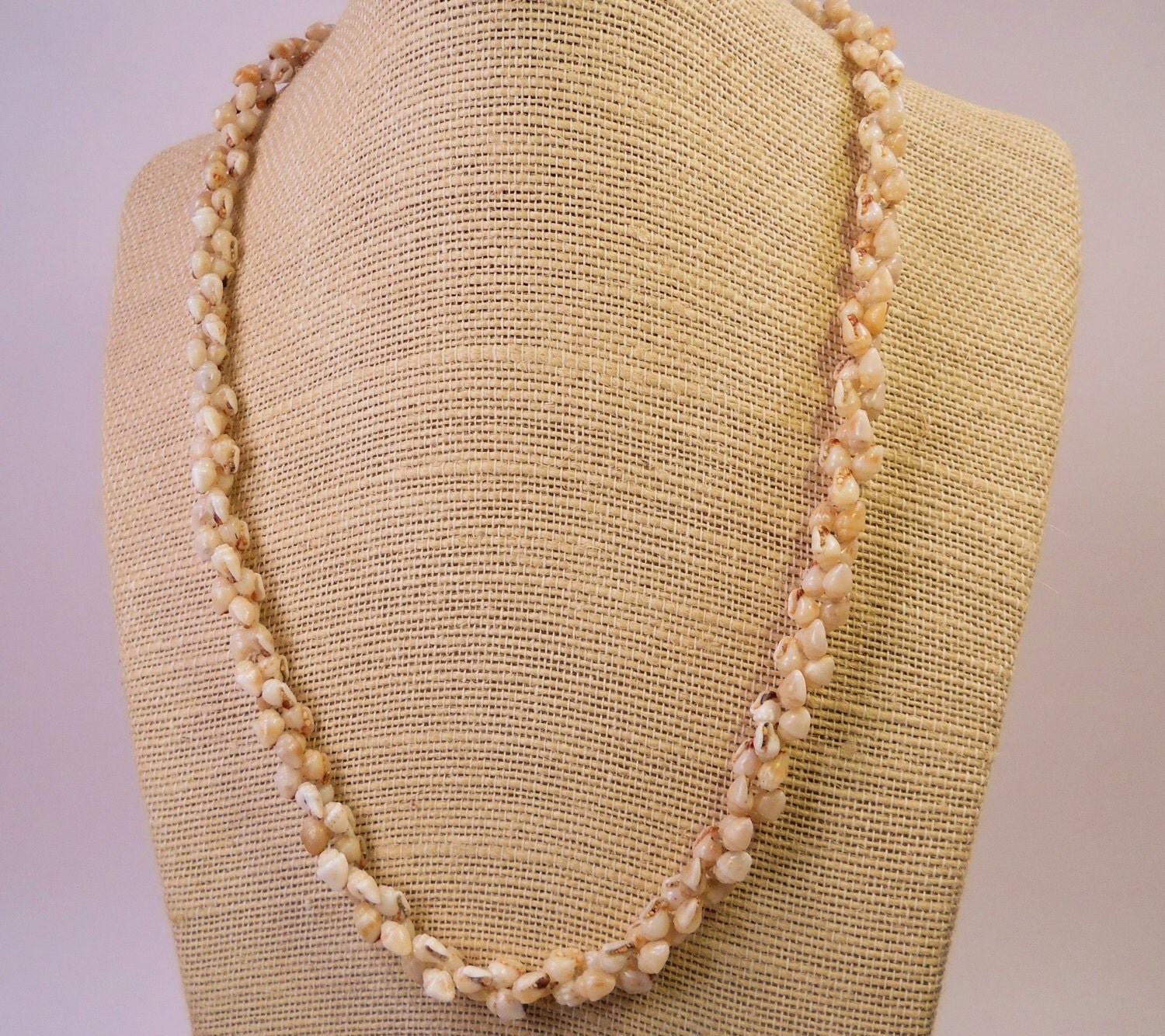 Shell Necklace Kauai Momi Shell Heleconia Necklace22