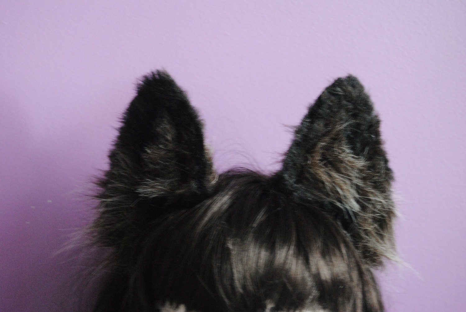 black wolf ears