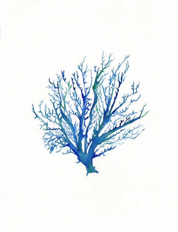 No.4 Sea Coral / watercolor print / dark blue / by kellybermudez