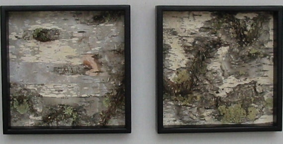 Birch Bark Art Birch Bark wall hanging natural rustic