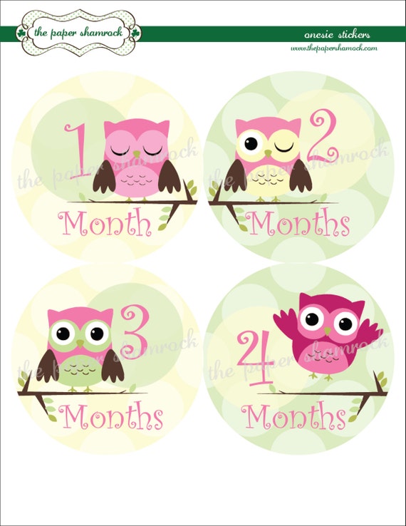 Owl - Baby Monthly Milestone Stickers, Baby Stickers, Monthly Stickers, Month Stickers, First Year Belly Sticker, First Year Stickers Il_570xn