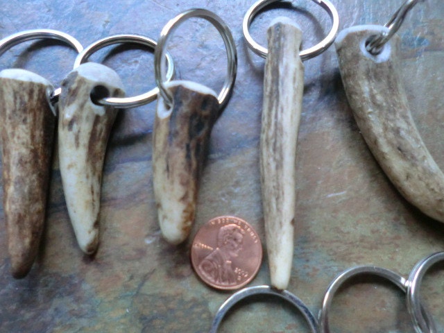 Deer Antler key-chains or zipper pulls all real antler very