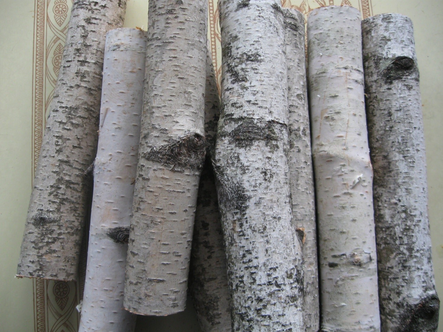 Native Maine White Birch Log Pieces for by oldandnewtiques on Etsy