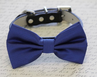 Royal Blue Dog Bow tie, Wedding dog collar, Bow attached to dog collar, Pet wedding accessory, Royal blue wedding, dog birthday gift
