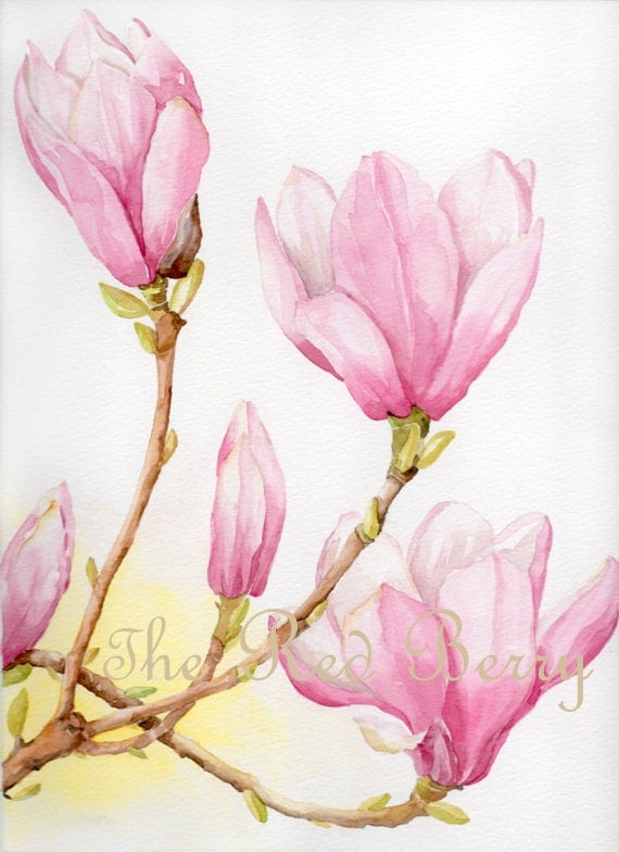 Flower watercolor Magnolias Floral Art Watercolor painting