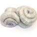 White Lavender sparkle Batt - Merino Wool - Firestar - Faux Cashmere - 100g - 3.5oz - COBWEB