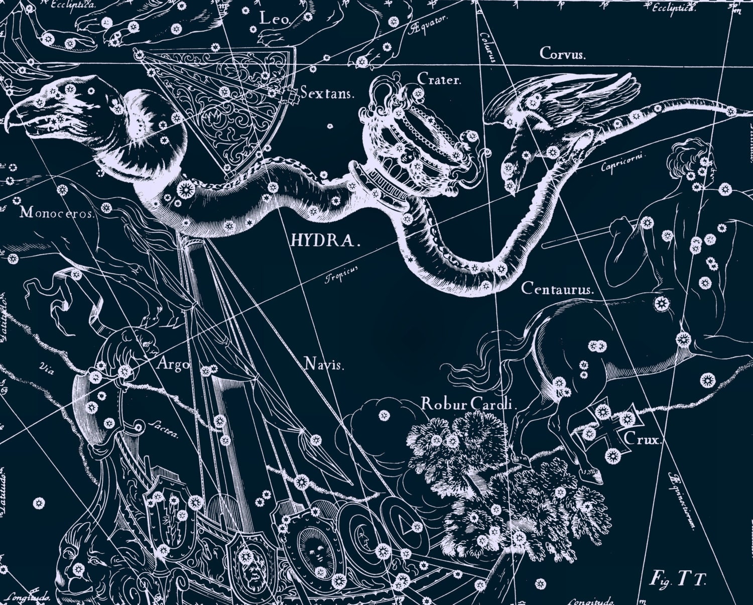 Difference Between Zodiac And Constellation