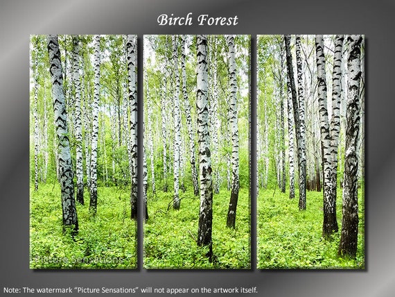 Framed Huge 3 Panel Art Spring Tree Birch Forest Giclee Canvas