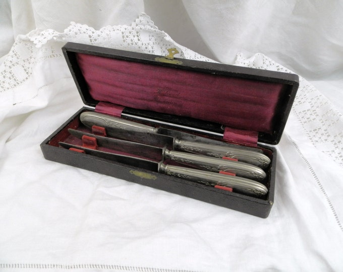 Boxed Set of Antique French Knifes / Shabby Chic / French Country Decor / Chateau Chic / Retro Vintage Home Interior / Europeen / Tableware