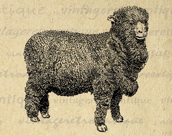 Popular items for sheep clip art on Etsy