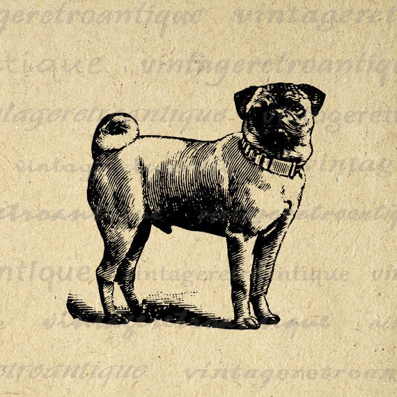 Animal Artwork – Vintage Retro Antique