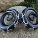 FREE US SHIPPING Pair  of Black  1/2"  - 12mm Tribal  Spirals Gauged with Paua Inlay, Organic gauges, Body Piercing Jewelry  L365