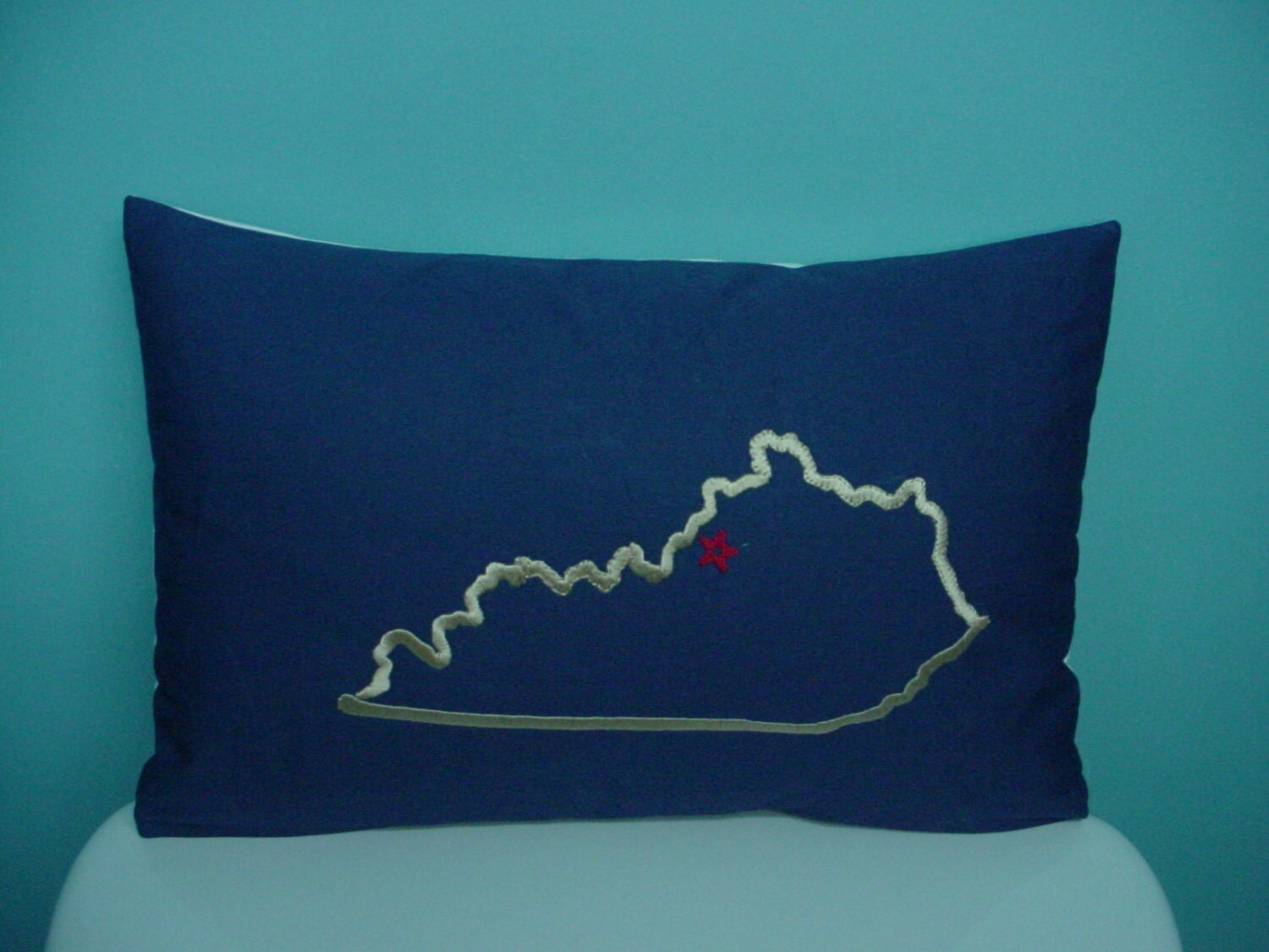 Kentucky state embroidered pillow