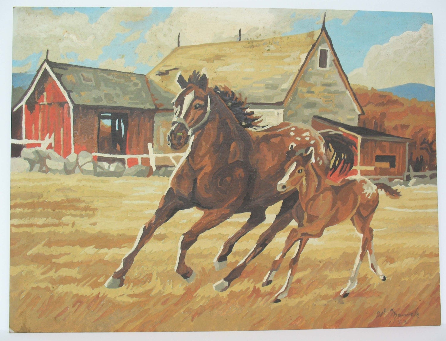 paint by number horses paintings foal west western barnyard