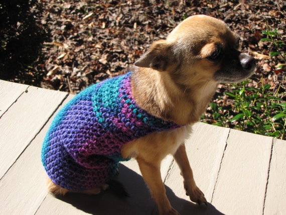 Hand Crocheted Pet Sweaters | Darlene Ryon