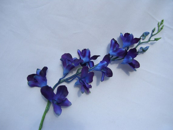 4 Stems Blue Purple Ca Dendrobium Orchids By Artisticfloraldesign 0630