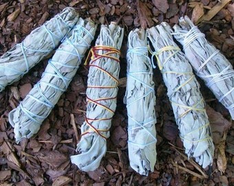 Six (6) White Sage Smudge Bundles 4"