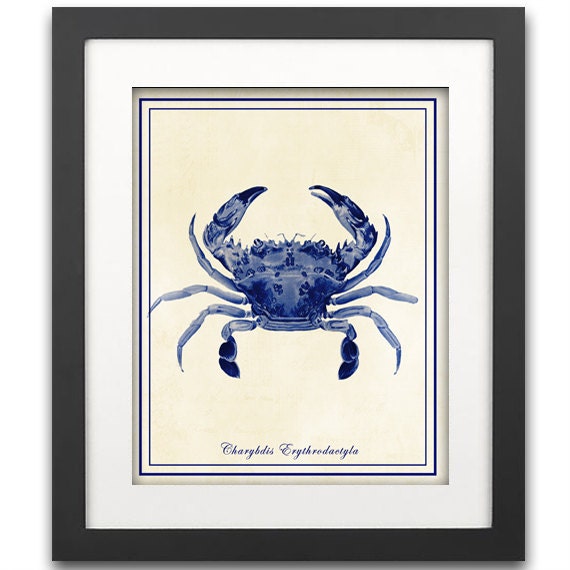 Blue Crab Art Print Nautical Art Print Crustacean Art