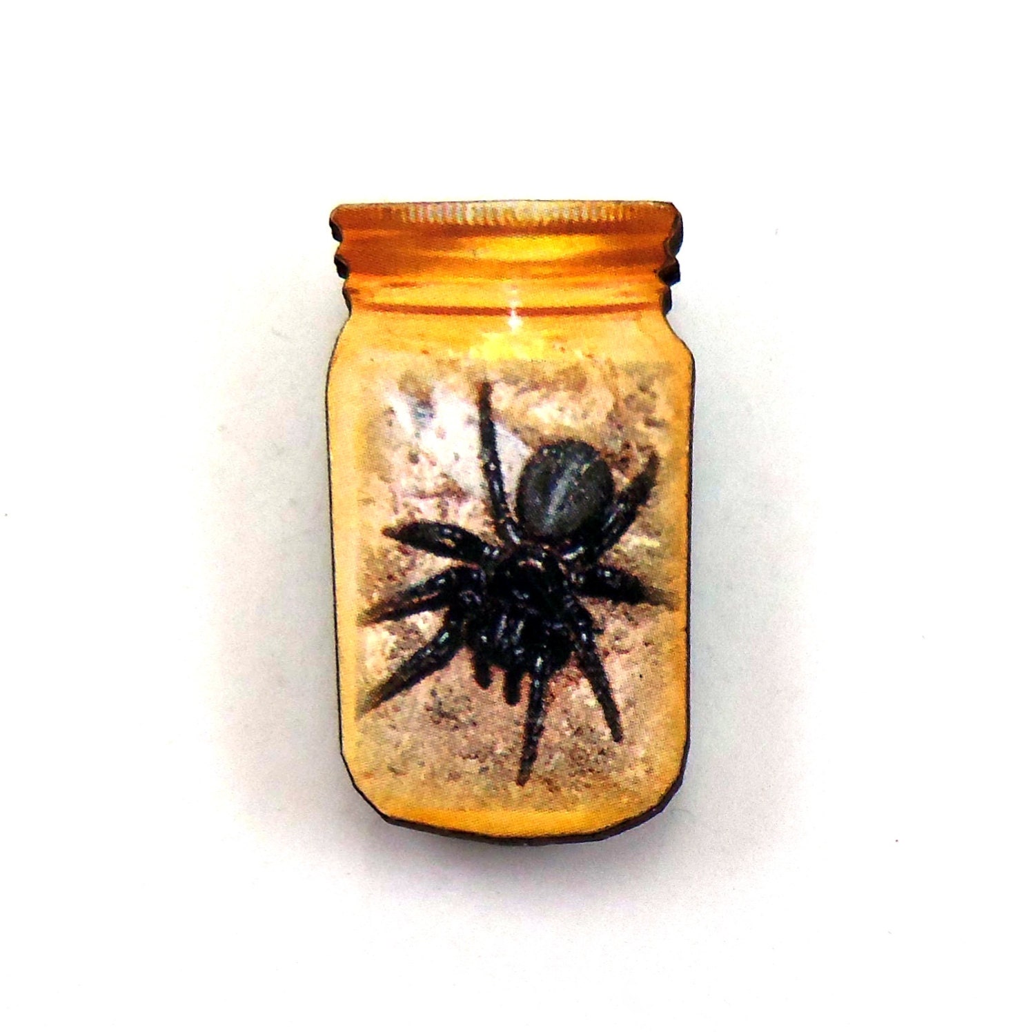 Insect in a Jar Pin A43 by OcularOddity on Etsy