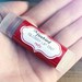 Ruby Glossy Lip Tint - Tinted Lip Balm - Pink Red