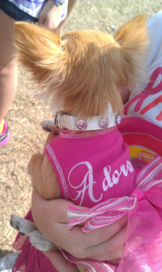 Biothane Bling Dog Collar Great for Weddings Available