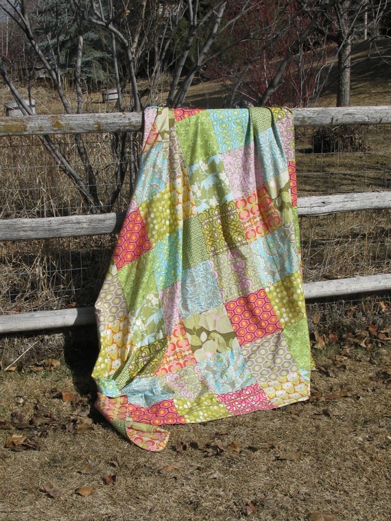 Summer weight picnic blanket quilt Amy Butler Modern