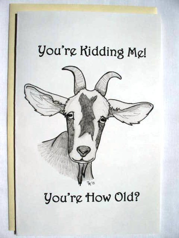  Funny  Goat Birthday  Card Original Pencil Drawing 