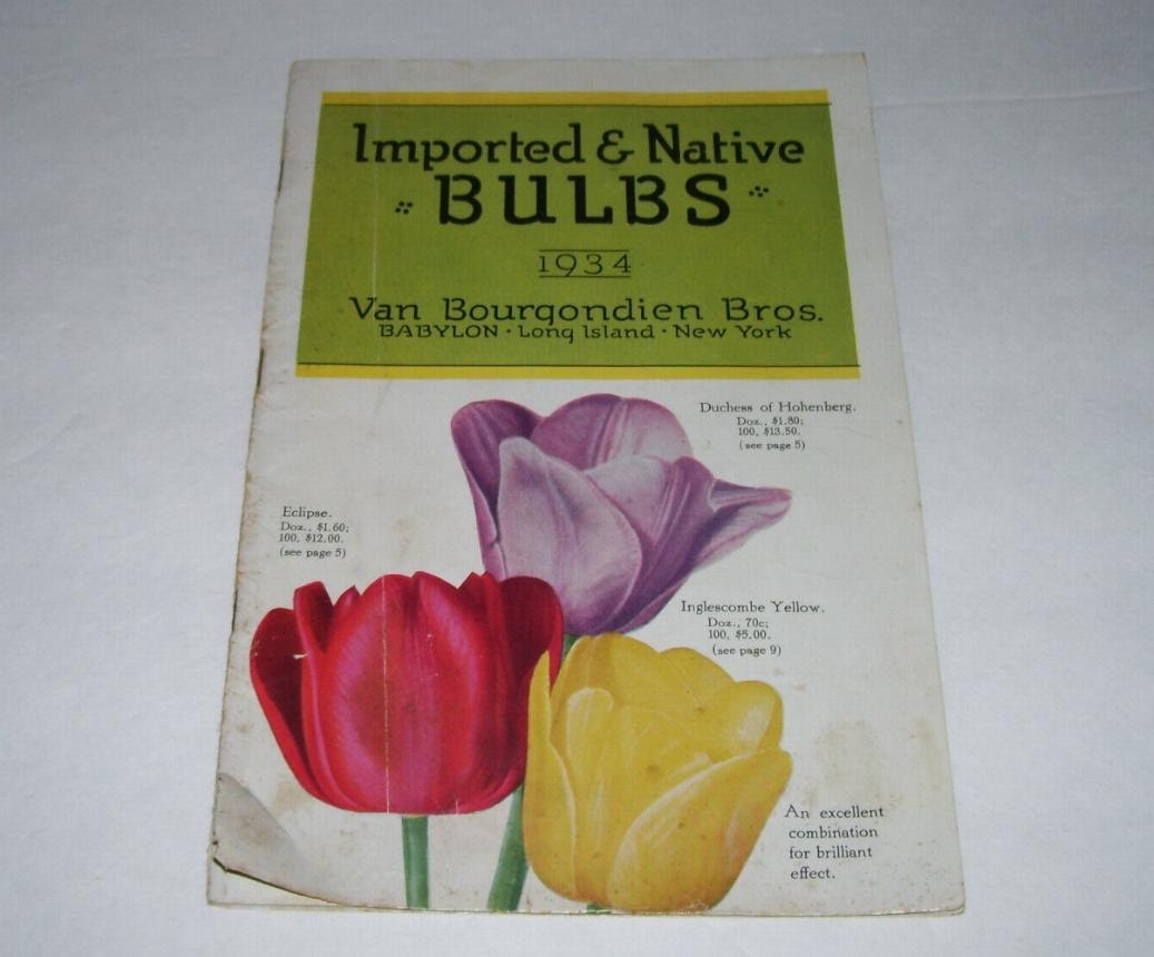 catalogs for flower bulbs catalogs for flower bulbs