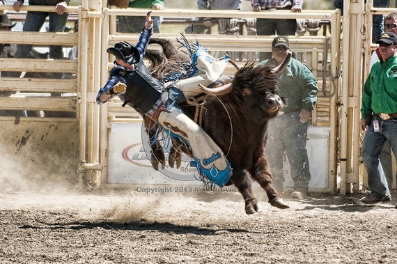 Rodeo Bull Riding Photo, Cowboy Art, Cowboy Photography, Rodeo Art, Fathers Day Gift