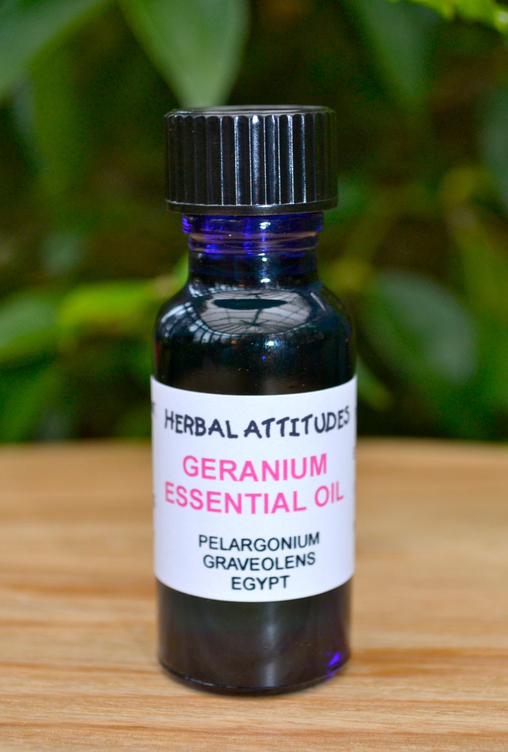 GERANIUM Essential Oil