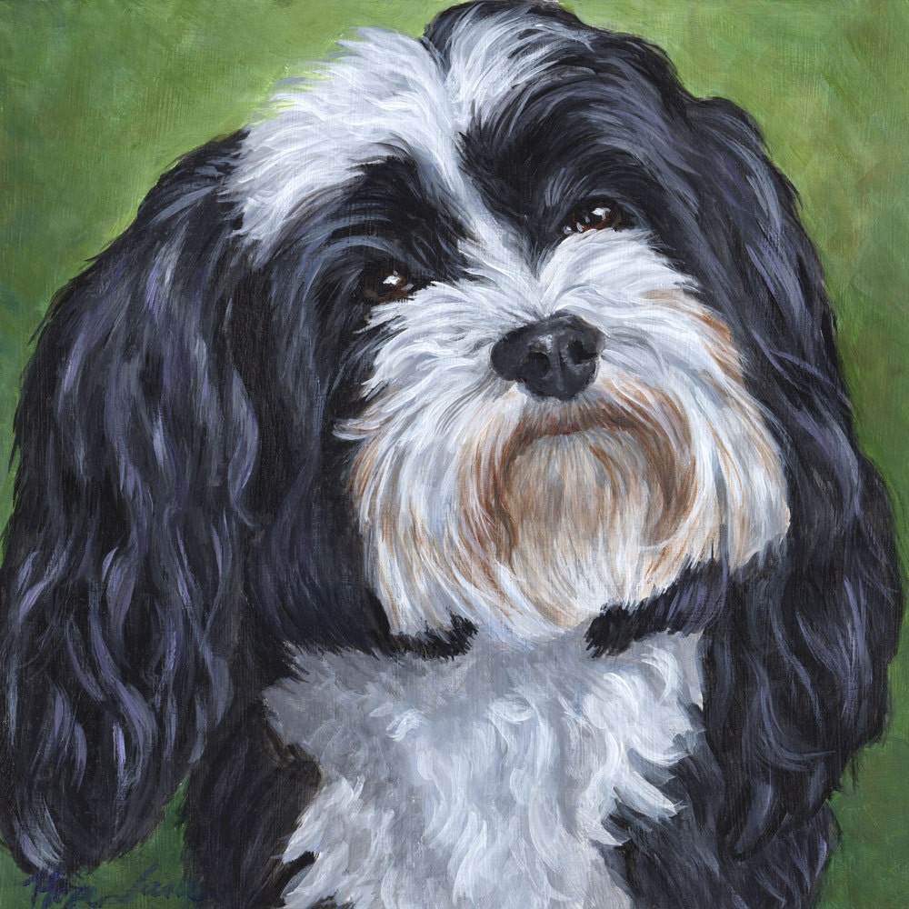 Custom Portrait Black and White Havanese Dog Painting