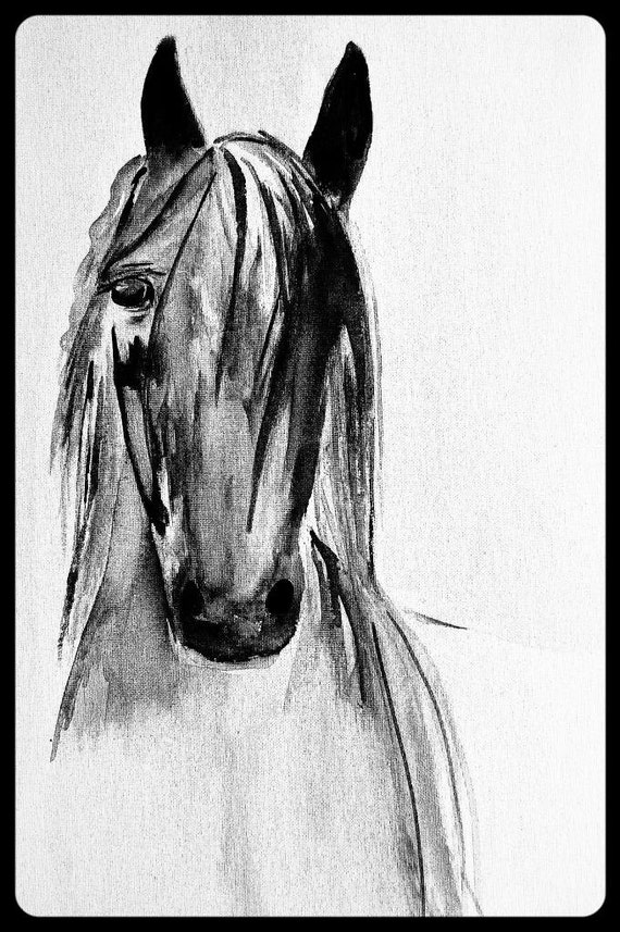 black and white horse 8x10 art print