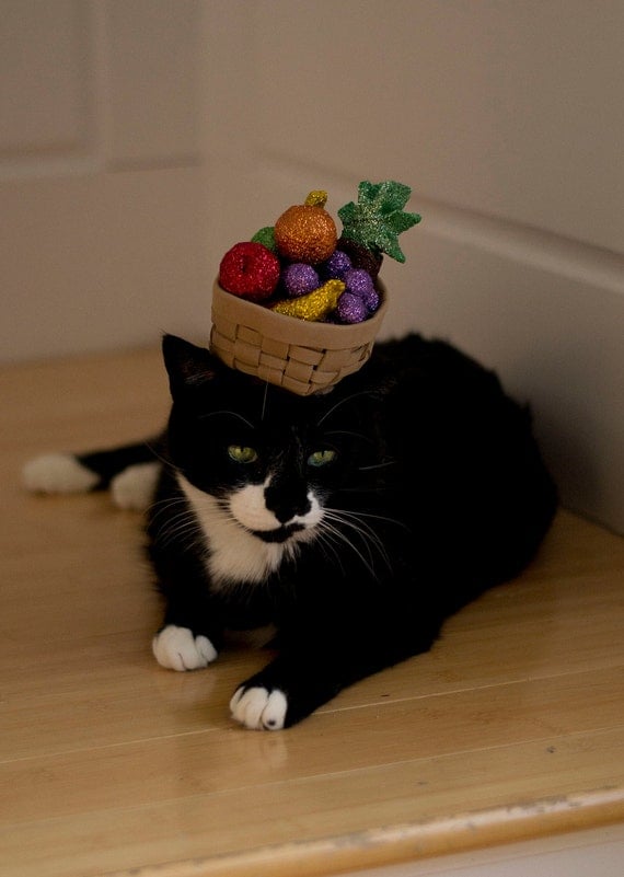 Carmen Miranda cat hat costume for Halloween