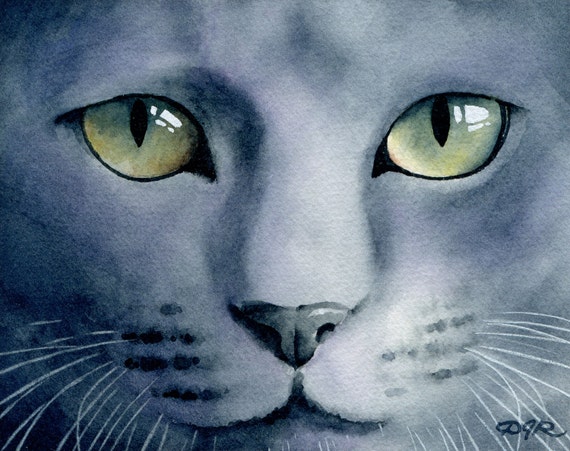 RUSSIAN BLUE CAT Art Print Signed by Artist D J Rogers