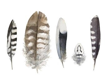 Striped Feathers Watercolor Painting - 5x7 Print