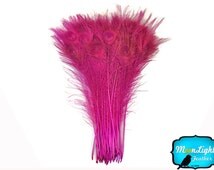 Popular items for long peacock feather on Etsy