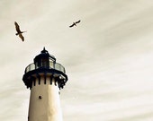 Lighthouse photography, white and blue, minimalist, navy, nautical, gray, flying birds, wall decor, 8x10