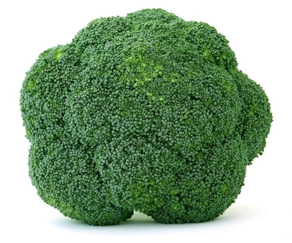 Items similar to Broccoli, Emerald Giant Broccoli - Large and Early ...