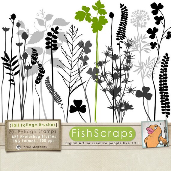 50% Sale - Tall Foliage Clip Art - Digital Leaves - Stamp ClipArt - Leaf Silhouettes - Plant Graphics - Flower Photoshop Brushes - Il_570xn